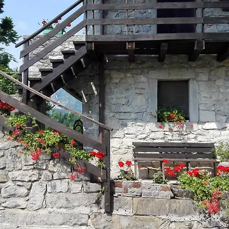 Farm stay Campo Di Bonis Taipana