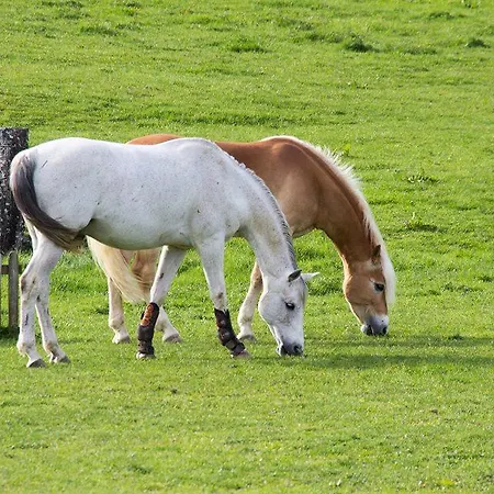 Farm stay Campo Di Bonis *